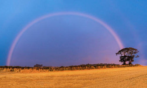 A rare pink rainbow appears in the sky - Science Ping